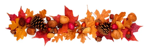 Herbstliche Borte Aus Bunten Herbstblättern Nüssen Und Tannenzapfen Ansicht Oben — Stockfoto