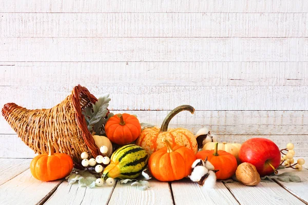 Hálaadás Bőségszaru Töltött Őszi Zöldségek Sütőtök Ellen Rusztikus Fehér Háttér — Stock Fotó