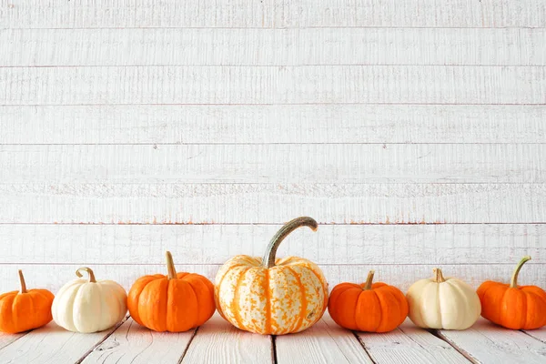 Autumn border of orange, white and striped pumpkins. Side view against a white wood background with copy space.