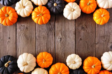 Sonbahar balkabağı Cadılar Bayramı renklerinde çifte sınır, turuncu, siyah beyaz ve siyah ahşap arka plan. Boşluğu kopyala.