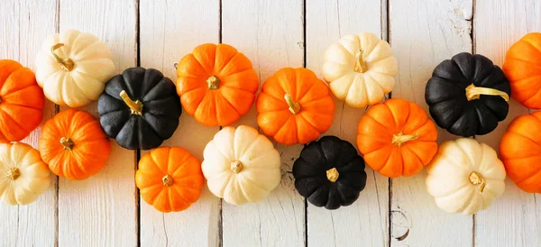 Autumn pumpkin banner Halloween colors orange, black and white against a white wood background