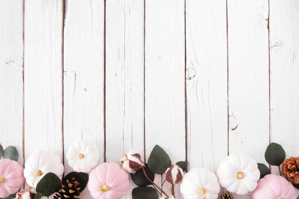 Borde Otoño Rosa Polvorienta Calabazas Blancas Con Hojas Eucalipto Sobre — Foto de Stock