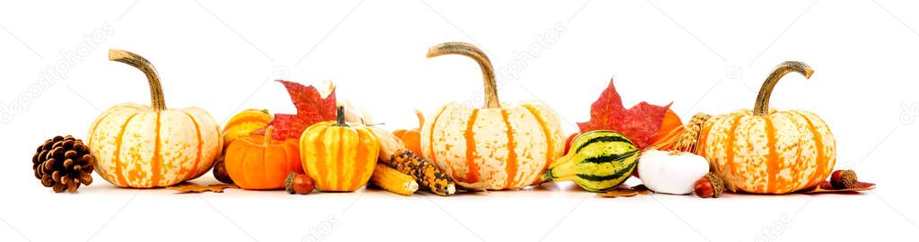 Autumn border of assorted pumpkins, gourds, nuts and leaves. Side view isolated on a white background.