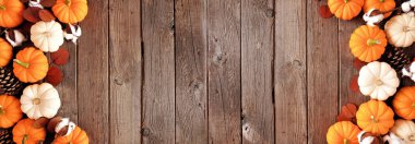 Sonbahar sonbaharı, sonbahar dekorlu turuncu ve beyaz balkabakları. Fotokopi alanı olan koyu renk ahşap afiş arkaplanındaki genel görünüm.