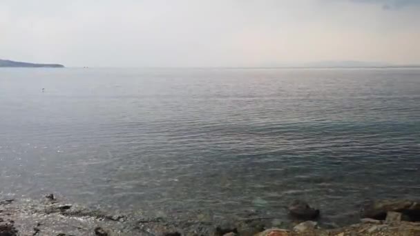 Seascape overlooking the Amur Bay of the sea of Japan. Vladivostok, Primorsky Krai. — Stock Footage Seascape Overlooking Amur Bay Sea Japan Vladivostok Primorsky Krai Royalty Free Stock Footage