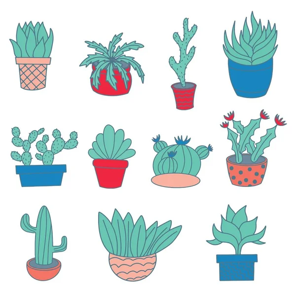 Oda kaktüs. Düz, çizgi film tarzı. 