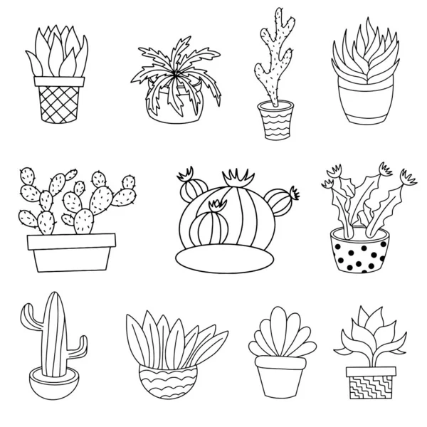 Kamer cactus. Plat, cartoon stijl. — Stockvector