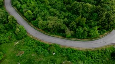 Asfalt orman yolu üzerinde uçan havadan görünümü.