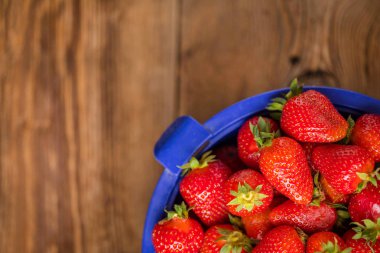 Bir kevgir içinde ev bahçesinden taze çilek. En iyi görünüm ve kopya alanı.