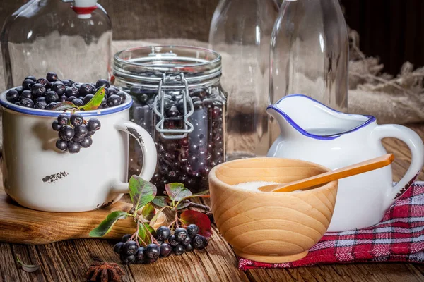 Siyah chokeberry işlenmek üzere hazırlanan meyve. Sığ derinlik-in tarla.