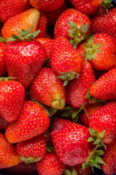 Bir kevgir içinde ev bahçesinden taze çilek.