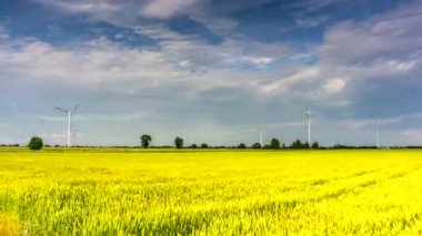 Alternatif enerji üreten rüzgar türbinleri. 4 k timelapse. 