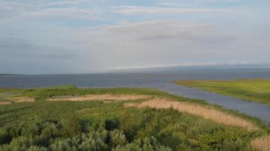 Vistula Lagoon kıyısında acele ile kaplı. Renk sınıflandırma için D-cinelike dosya.