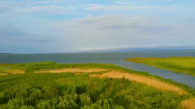 Vistula Lagoon kıyısında acele ile kaplı.