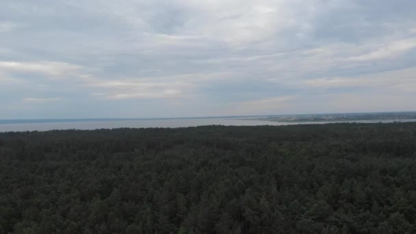 Strand Der Weichspuckspitze Der Polnischen Ostsee Cineartige Datei Zur Farbkorrektur — Stockvideo