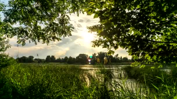 Nogat 川の土手から見た夕焼け のタイムラプス — ストック動画