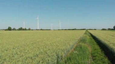 Alternatif enerji üreten rüzgar türbinleri. Renk sınıflandırma için D-cinelike dosya.