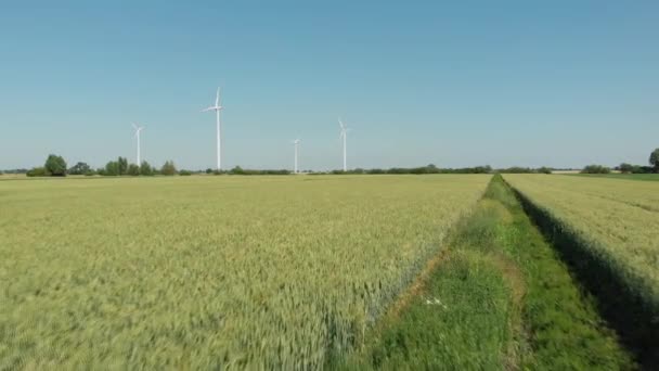 Windturbines Productie Van Alternatieve Energie Cinelike Bestand Voor Kleurcorrectie — Stockvideo