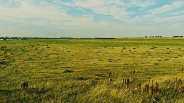 Vistula Nehri'nin taşkın yatağının alan.