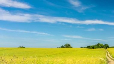 Yol tecavüz alan mavi gökyüzü altında aracılığıyla lider. 4 k. Timelapse.