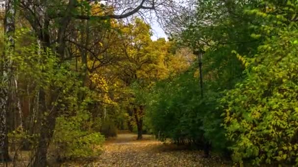 Lapso Tiempo Tarde Parque Otoñal Katowice Polonia — Vídeos de Stock