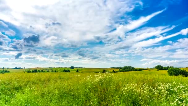 Campo Violación Cielo Azul Con Nubes Moviéndose Timelapse — Vídeos de Stock