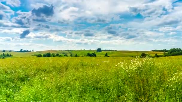 Champ de viol et ciel bleu avec des nuages en mouvement. Timelapse 4K .