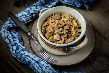 Geleneksel Lehçe lahana turşusu (bigos) Mantar ve et. Sığ derinlik-in tarla.