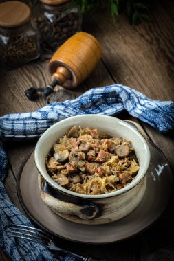 Geleneksel Lehçe lahana turşusu (bigos) Mantar ve et. Sığ derinlik-in tarla.