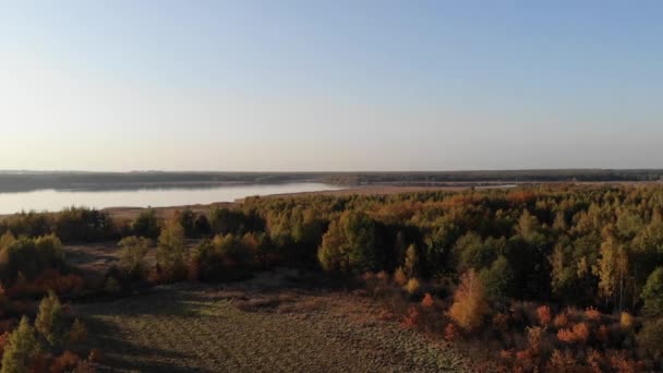 vol au-dessus de la forêt d'automne .