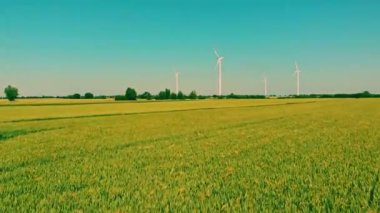 Rüzgar türbinleri alternatif enerji üretiyor.