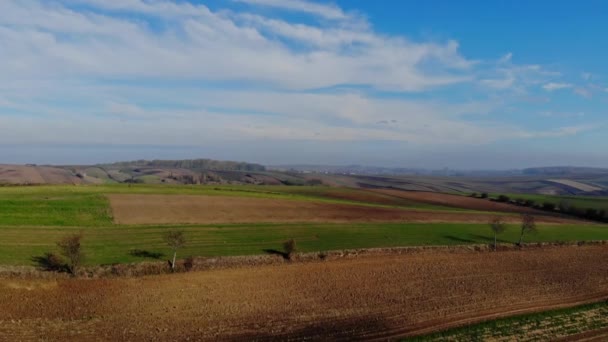 秋の日の光の中で耕作上の飛行 — ストック動画