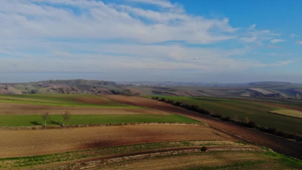 Volo Sui Campi Coltivati Alla Luce Del Sole Autunnale — Video Stock