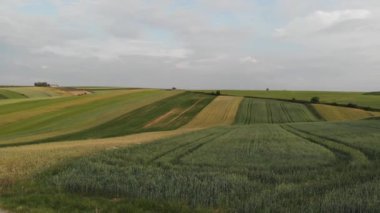 Havadan görüntüleri ile uçuş tarım alanın üzerinde. 4 k görüntüleri.