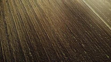 Ekimi toprak: çiftçilik alan hava üstten görünüm video hasat.