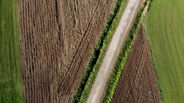 Ekimi Toprak Çiftçilik Alan Hava Üstten Görünüm Video Hasat — Stok video