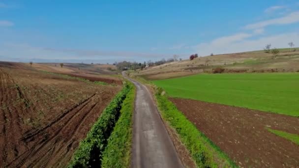 Flight Cultivated Fields Light Autumn Sun — Stock Video