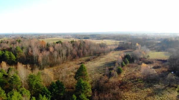 Bosque Otoño Visto Desde Arriba Luz Del Sol Poniente Visto — Vídeos de Stock