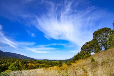 Karpatlar 'ın sonbahar zirvelerinin manzarası. Doğu Karpatlar, Polonya.