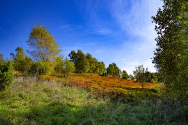 Karpatlar 'ın sonbahar zirvelerinin manzarası. Doğu Karpatlar, Polonya.