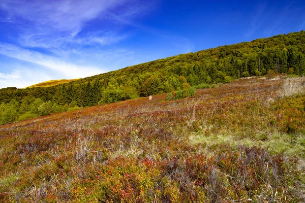 Landschaft Der Herbstlichen Gipfel Der Karpaten Ostkarpaten Polen — Stockfoto