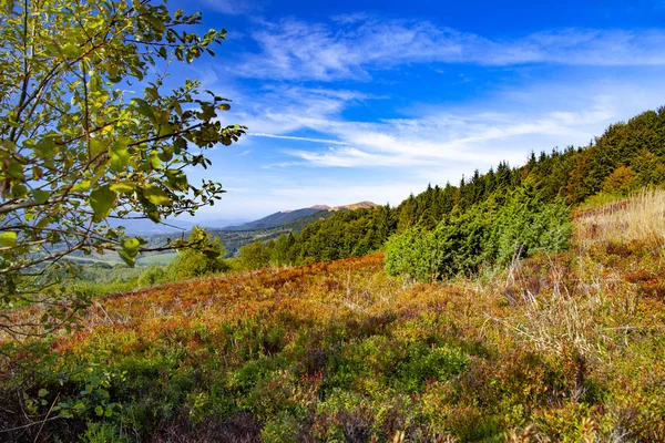 Krajina Podzimních Vrcholků Karpat Východní Karpat Polsko — Stock fotografie