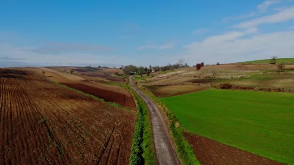 Vuelo Sobre Campos Cultivados Luz Del Sol Otoño — Vídeo de stock