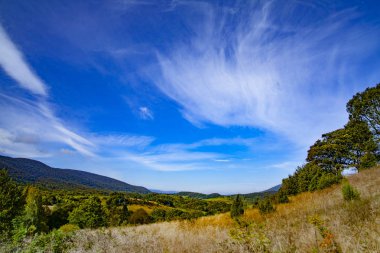 Karpatlar 'ın sonbahar zirvelerinin manzarası. Doğu Karpatlar, Polonya.