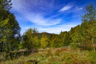 Karpatlar 'ın sonbahar zirvelerinin manzarası. Doğu Karpatlar, Polonya.