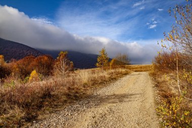 Karpatlar 'ın sonbahar zirvelerinin manzarası. Doğu Karpatlar, Polonya.
