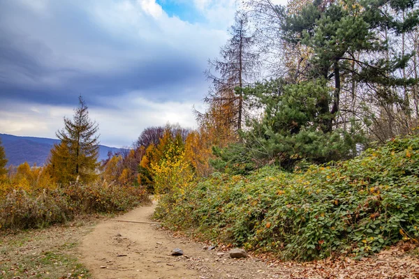 Paisaje Picos Otoñales Los Cárpatos Cárpatos Orientales Polonia —  Fotos de Stock