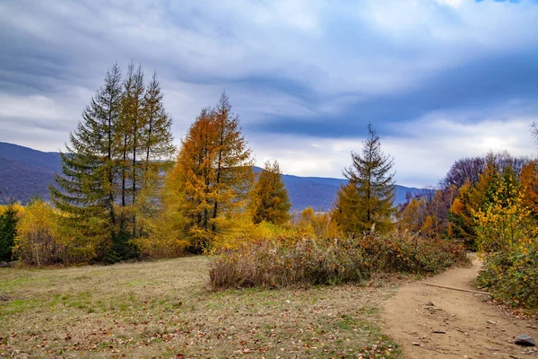 Krajina Podzimních Vrcholků Karpat Východní Karpat Polsko — Stock fotografie