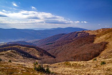 Karpatlar 'ın sonbahar zirvelerinin manzarası. Doğu Karpatlar, Polonya.