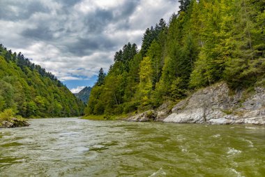 Nehrin Dunajec dönüş